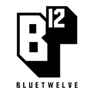 bluetwelve_studio_logo.png