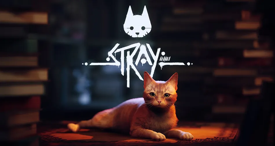 Stray